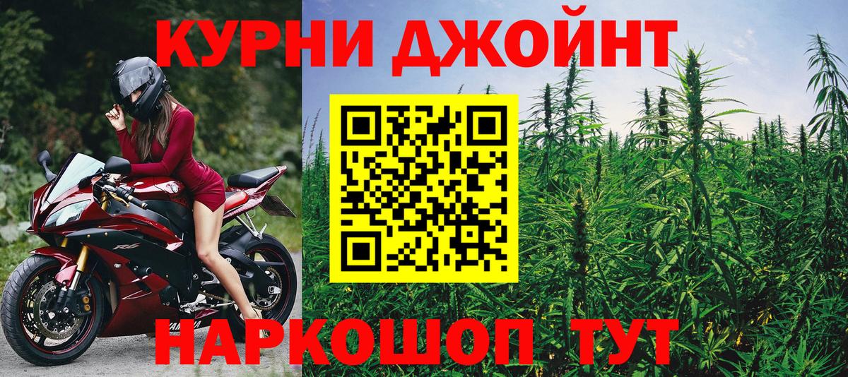 Шишки марихуана сатива Курчалой